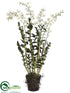 Silk Plants Direct Dendrobium Orchid Plant - Cream Green - Pack of 1