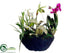 Silk Plants Direct Lady Slipper Orchid, Dendrobium Orchid, Oncidium Orchid Plant - Orchid Green - Pack of 2