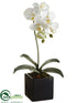 Silk Plants Direct Phalaenopsis Orchid Plant - White - Pack of 3