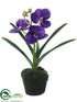 Silk Plants Direct Vanda Orchid Plant - Lavender - Pack of 6