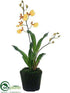 Silk Plants Direct Oncidium Orchid Plant - Yellow - Pack of 6