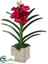 Silk Plants Direct Vanda Orchid Plant - Crimson - Pack of 2