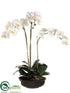 Silk Plants Direct Phalaenopsis Orchid Plant - Cream Yellow - Pack of 1