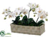 Silk Plants Direct Phalaenopsis Orchid Plant - White - Pack of 4