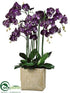 Silk Plants Direct Phalaenopsis Orchid Plant - Purple - Pack of 1