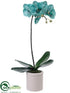 Silk Plants Direct Phalaenopsis Orchid Plant - Aqua Light - Pack of 4