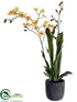 Silk Plants Direct Sharry Oncidium Orchid Plant - Yellow Peach - Pack of 1