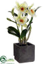 Silk Plants Direct Cattleya Orchid Plant - Cream Yellow - Pack of 1