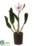 Silk Plants Direct Cattleya Orchid Plant - Cream Lavender - Pack of 1