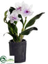 Silk Plants Direct Cattleya Orchid Plant - Cream Lavender - Pack of 1