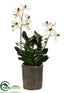 Silk Plants Direct Vanda Orchid Plant - White Mauve - Pack of 1