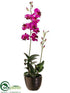 Silk Plants Direct Dendrobium Orchid Plant - Fuchsia - Pack of 1
