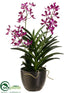 Silk Plants Direct Panee Vanda Orchid Plant - Orchid - Pack of 1