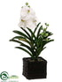 Silk Plants Direct Vanda Orchid Plant - White Green - Pack of 1