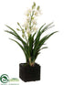 Silk Plants Direct Cymbidium Orchid Plant - White Green - Pack of 1