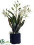 Silk Plants Direct Cymbidium Orchid Plant - White Green - Pack of 1