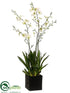 Silk Plants Direct Oncidium Orchid Plant - White Green - Pack of 1