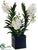 Vanda Orchid Plant - White Green - Pack of 1