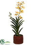 Silk Plants Direct Panee Vanda Orchid Plant - Yellow Burgundy - Pack of 2