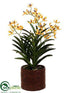 Silk Plants Direct Panee Vanda Orchid Plant - Yellow Burgundy - Pack of 1