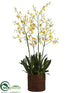 Silk Plants Direct Oncidium Orchid Plant - Yellow Burgundy - Pack of 1