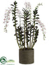 Silk Plants Direct Caesar Dendrobium Orchid Plant - Cream Lavender - Pack of 1