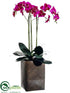 Silk Plants Direct Phalaenopsis Orchid Plant - Orchid - Pack of 1