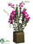 Dendrobium Orchid Plant - Orchid - Pack of 1