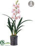 Silk Plants Direct Cymbidium Orchid - Pink - Pack of 1