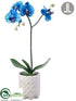 Silk Plants Direct Phalaenopsis Orchid - Blue - Pack of 4