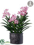 Silk Plants Direct Vanda Orchid - Mauve White - Pack of 1