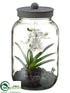 Silk Plants Direct Vanda Orchid Plant - White Platinum - Pack of 4