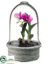 Silk Plants Direct Dendrobium Orchid Plant - Orchid - Pack of 2