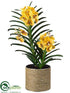 Silk Plants Direct Vanda Orchid Plant - Yellow - Pack of 1