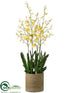 Silk Plants Direct Oncidium Orchid Plant - Yellow - Pack of 1