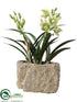 Silk Plants Direct Cymbidium Orchid Plant - Green - Pack of 1