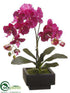 Silk Plants Direct Phalaenopsis Orchid Plant - Violet - Pack of 1
