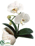 Silk Plants Direct Phalaenopsis Orchid Plant - White - Pack of 4