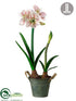 Silk Plants Direct Amaryllis - Cream Mauve - Pack of 2