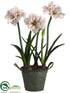 Silk Plants Direct Amaryllis - Cream Mauve - Pack of 1