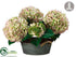 Silk Plants Direct Hydrangea - Green Lilac - Pack of 1