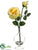 Rose - Yellow - Pack of 6