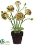 Silk Plants Direct Ranunculus - Green Burgundy - Pack of 4