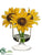 Sunflower - Yellow - Pack of 6