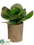 Silk Plants Direct Kalanchoe - Green - Pack of 4
