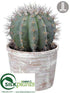 Silk Plants Direct Barrel Cactus - Green Gray - Pack of 1