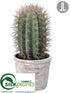 Silk Plants Direct Cactus - Green - Pack of 4