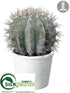 Silk Plants Direct Barrel Cactus - Green Gray - Pack of 4
