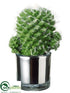 Silk Plants Direct Hedgehog Cactus - Green - Pack of 12