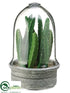 Silk Plants Direct Peruvian Cactus - Green - Pack of 2